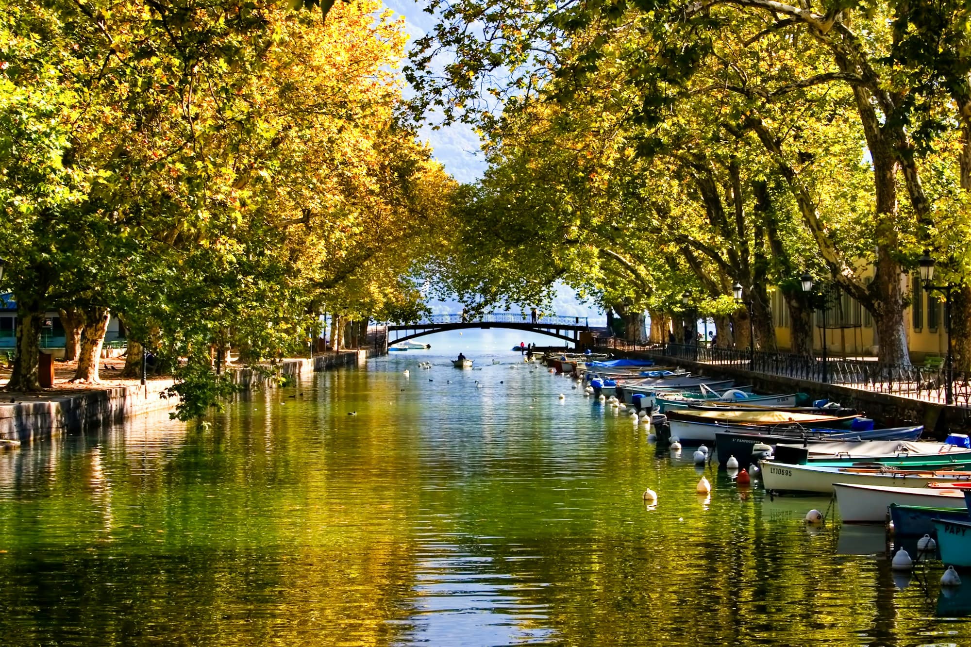 Permis bateau à Annecy, Auvergne-Rhône-Alpes